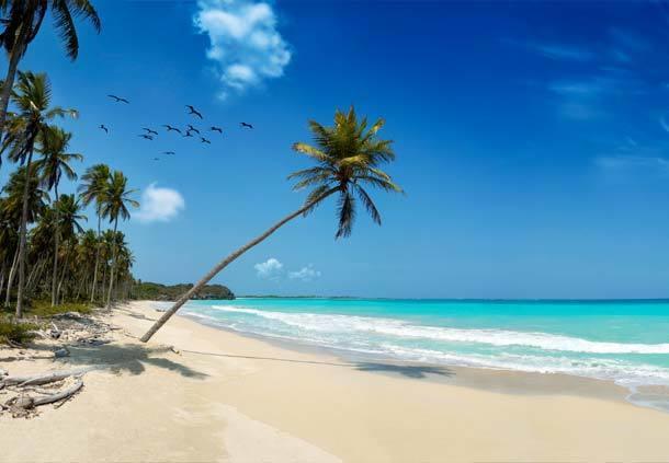 Mangro Hotel Diani Beach Bagian luar foto